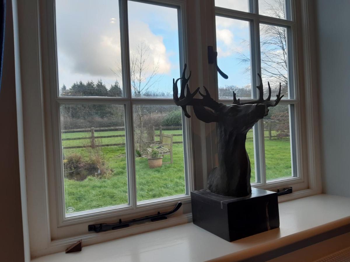 Woodlands Cottage Farm Wickham Kültér fotó